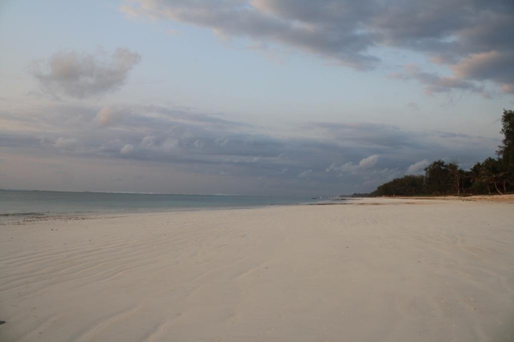 Diani Marine Divers Village Diani Beach Kültér fotó